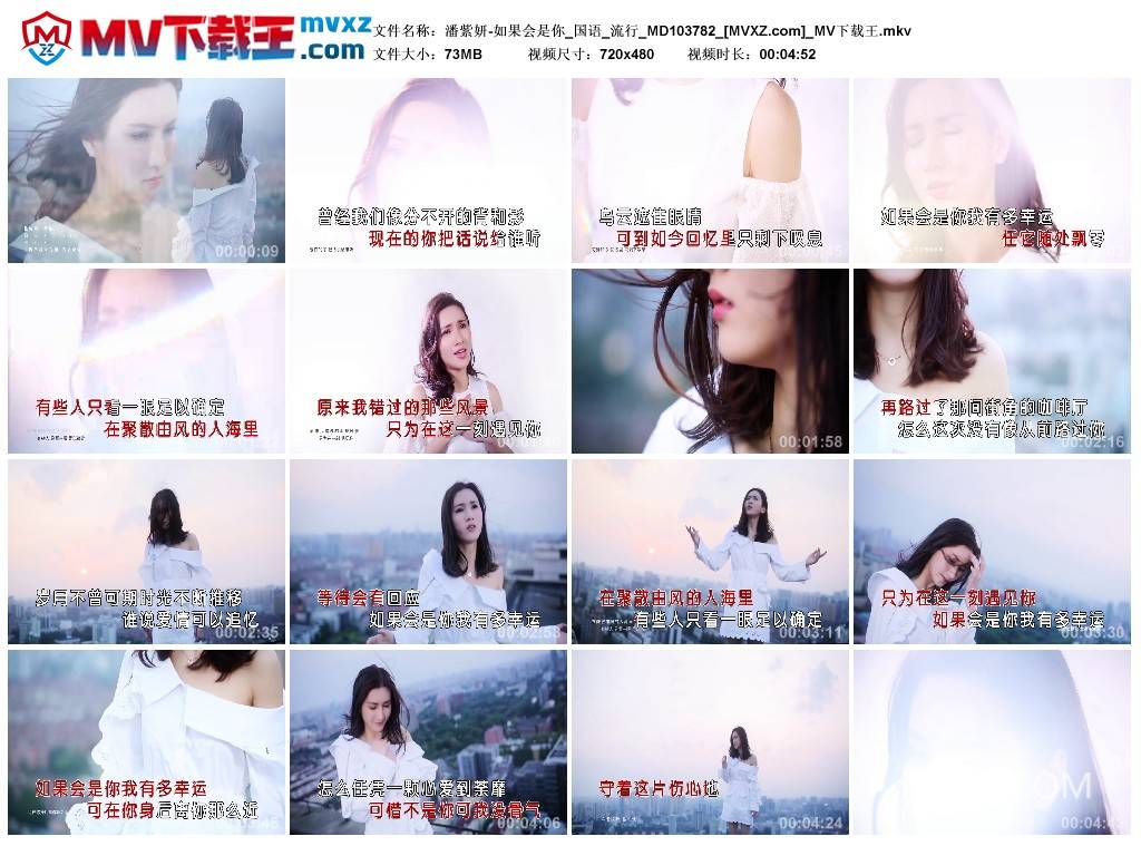 潘紫妍-如果会是你_国语_流行_MD103782